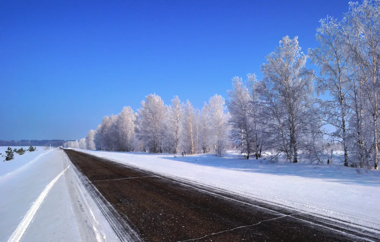 Фото обои зима, дорога, природа