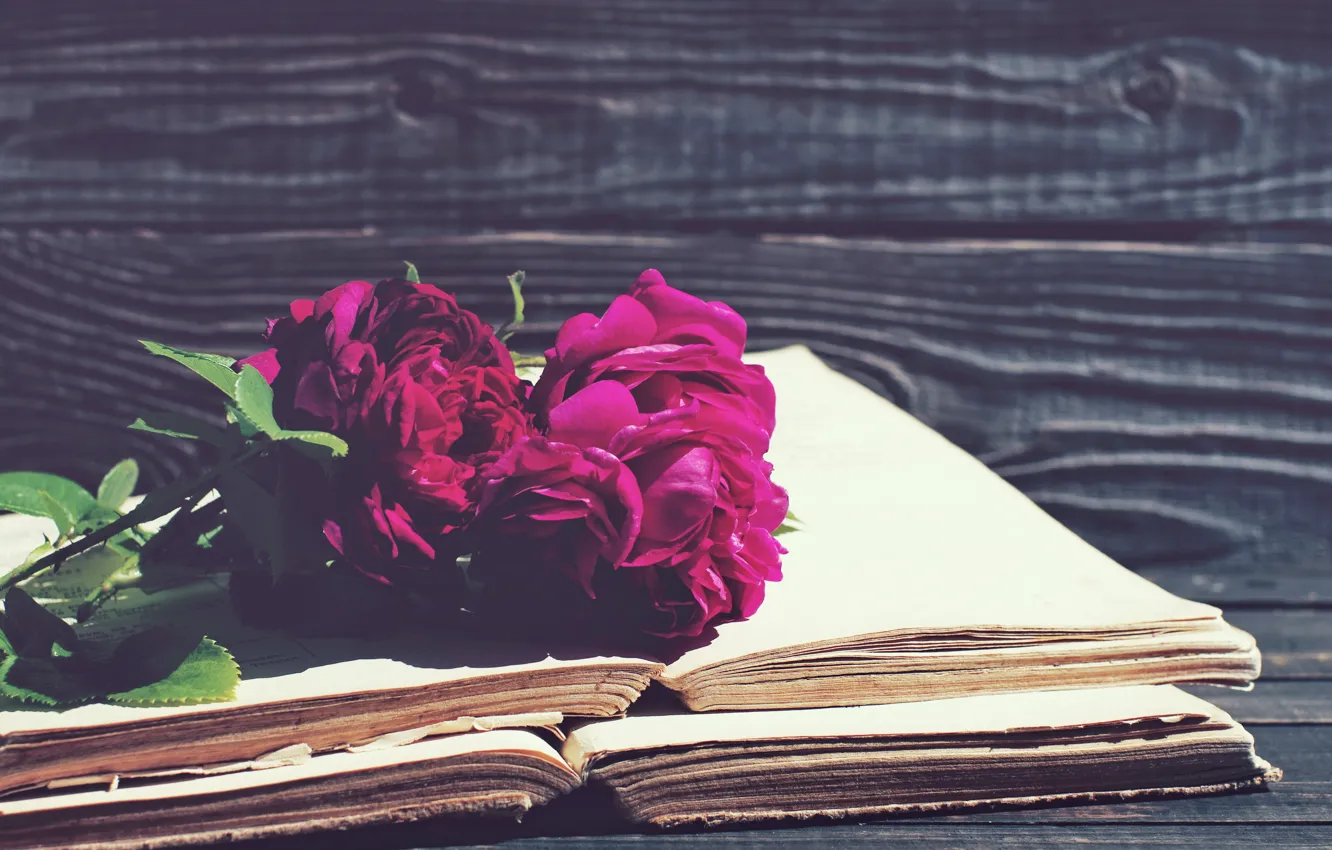 Фото обои розы, vintage, wood, flowers, beautiful, purple, book