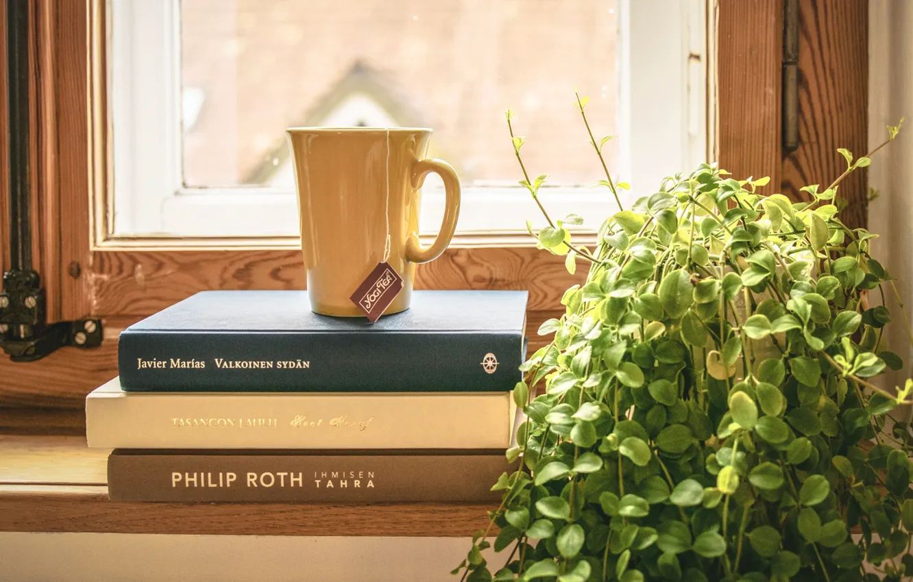 Фото обои книги, окно, чашка, вазон, чай душистый, подоконик