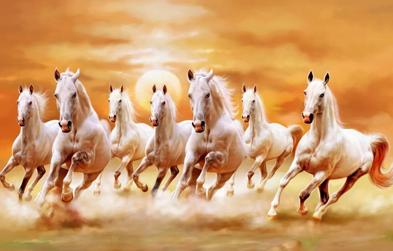Фото обои sun, animal, horse, run, Horses