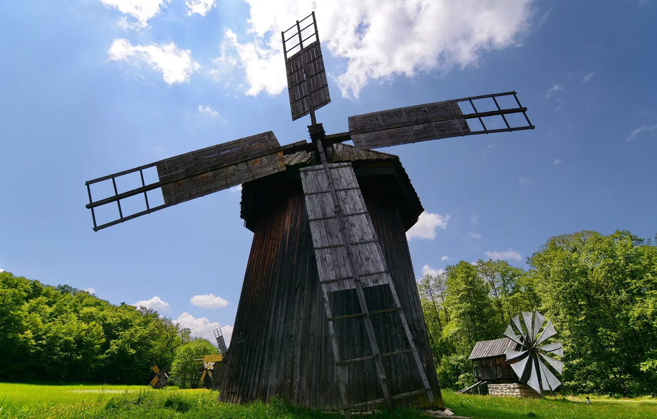 Фото обои зелень, лето, небо, трава, солнце, облака, деревья, мельница