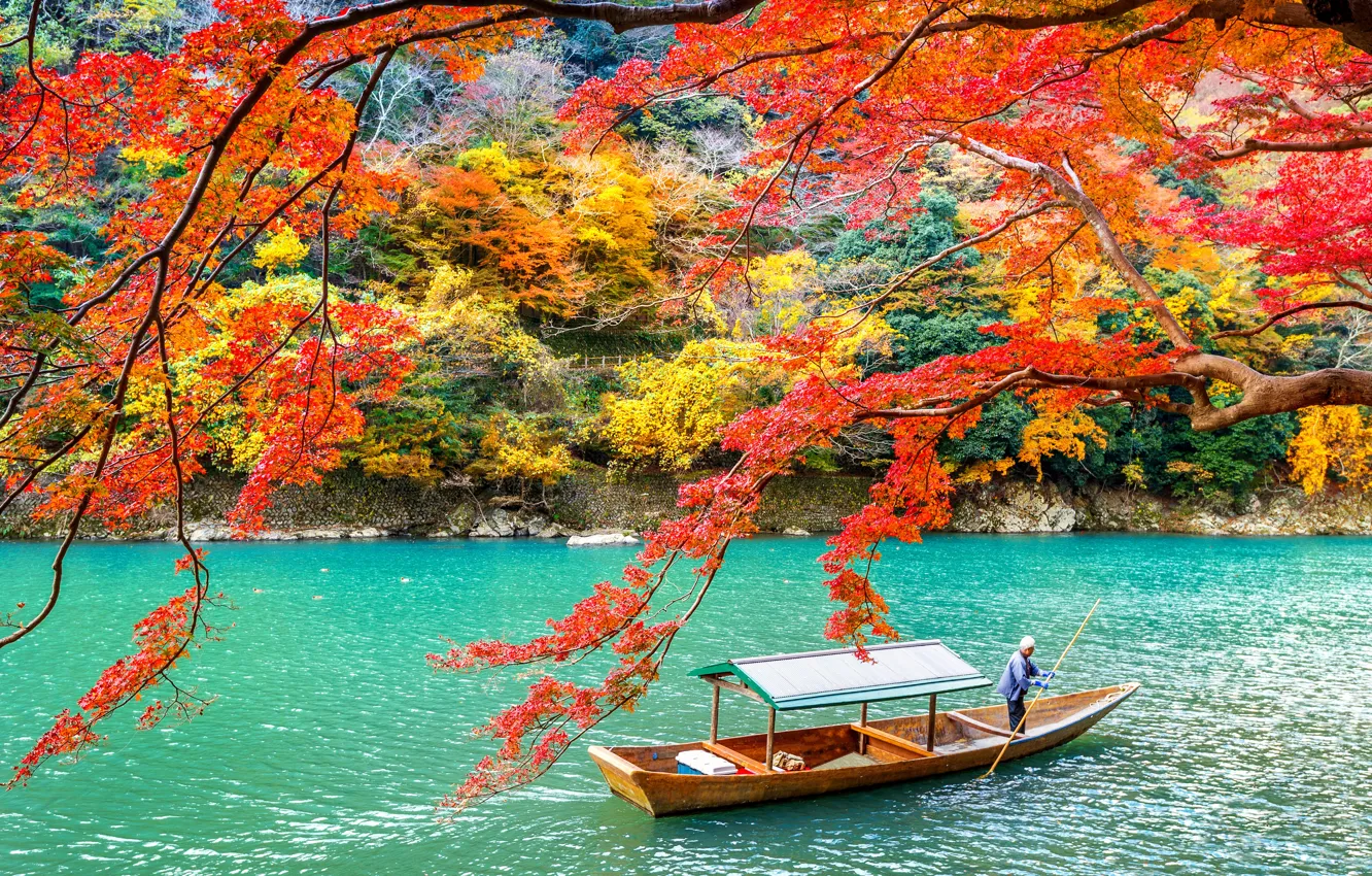Фото обои осень, листья, деревья, парк, Japan, Kyoto, nature, park