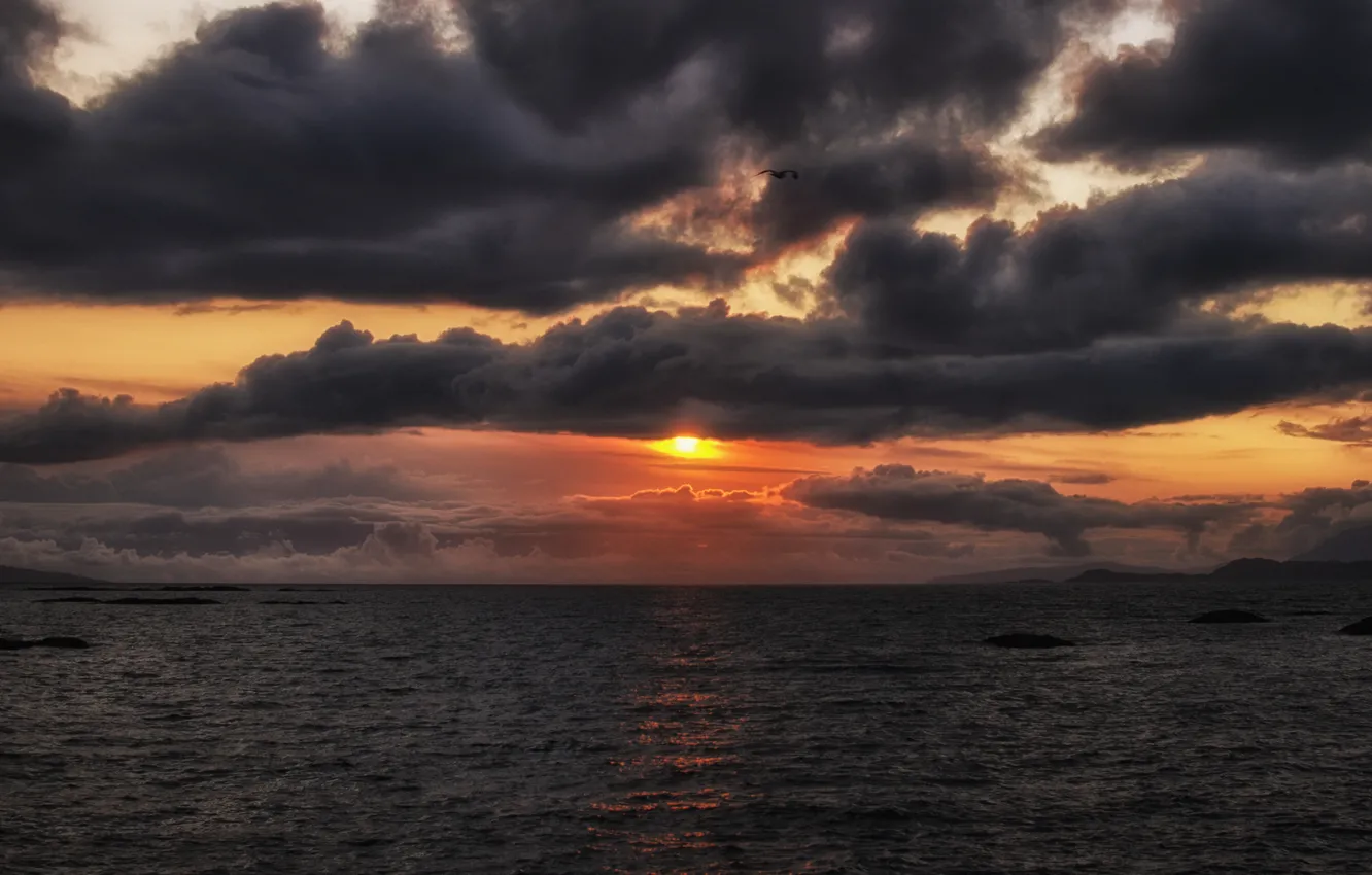 Фото обои море, небо, солнце, полет, закат, оранжевый, тучи, океан