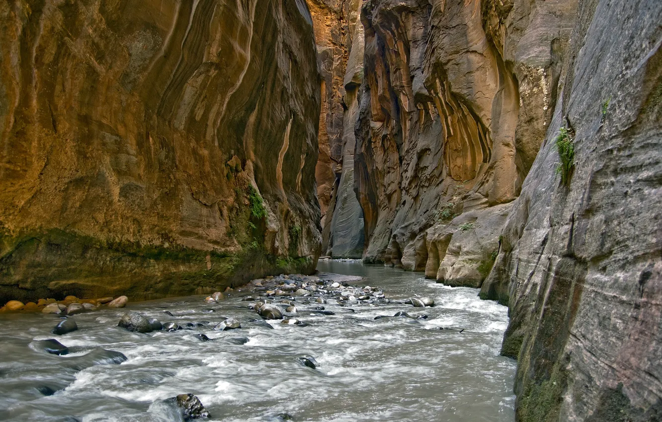 Фото обои вода, река, камни, Горы, каньон