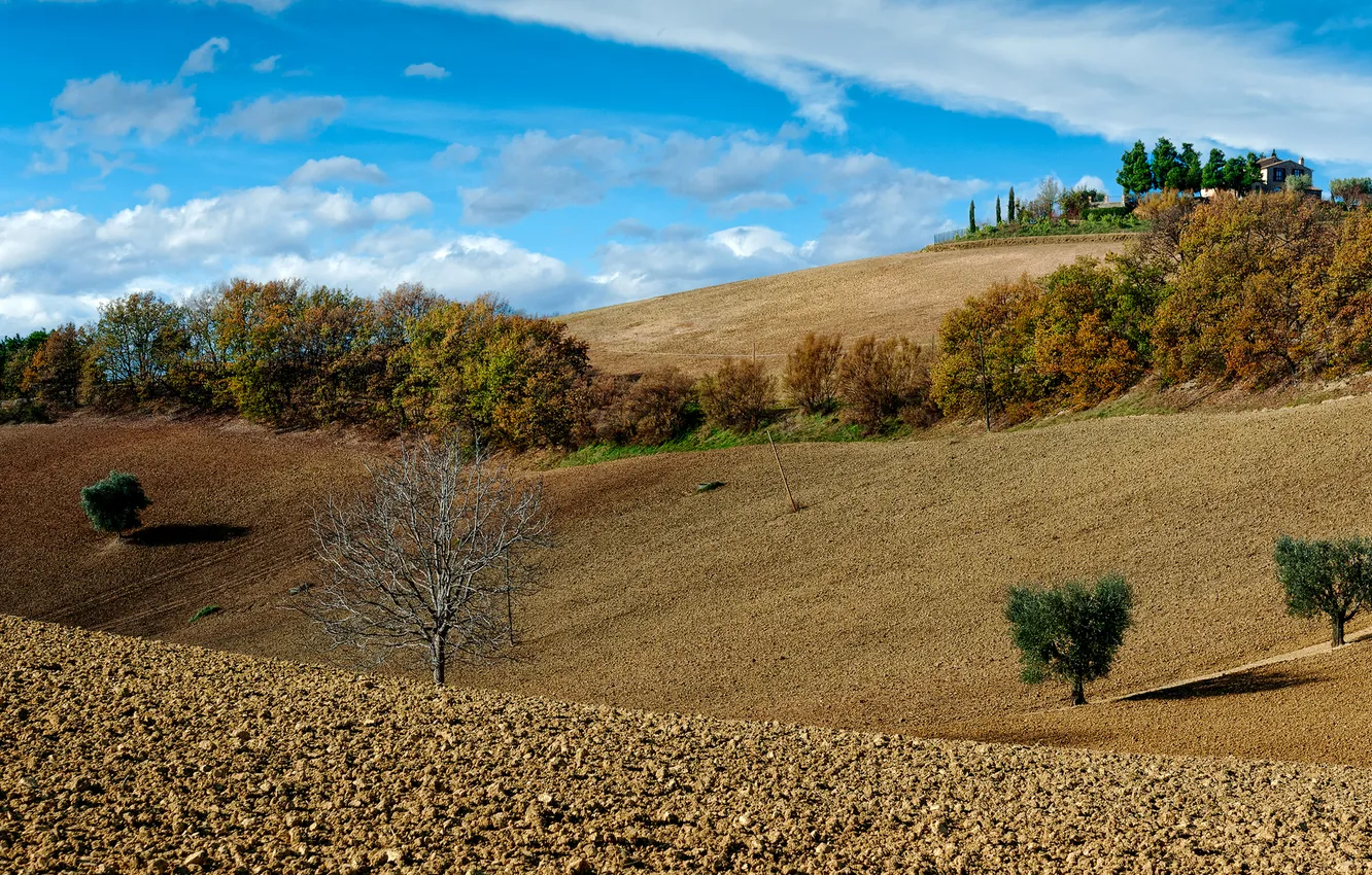 Фото обои поле, осень, небо, деревья, дома, холм, Италия