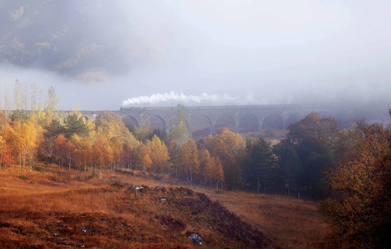 Фото обои осень, лес, деревья, туман, поезд, дымка