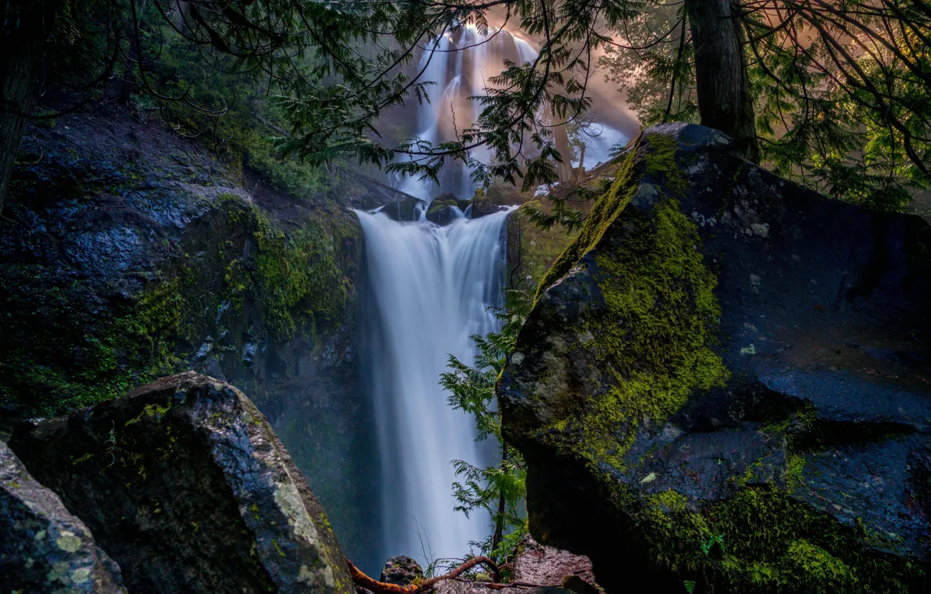 Фото обои лес, скалы, водопады, каскад, Columbia River Gorge, Falls Creek Falls, Gifford Pinchot National Forest, Washington …