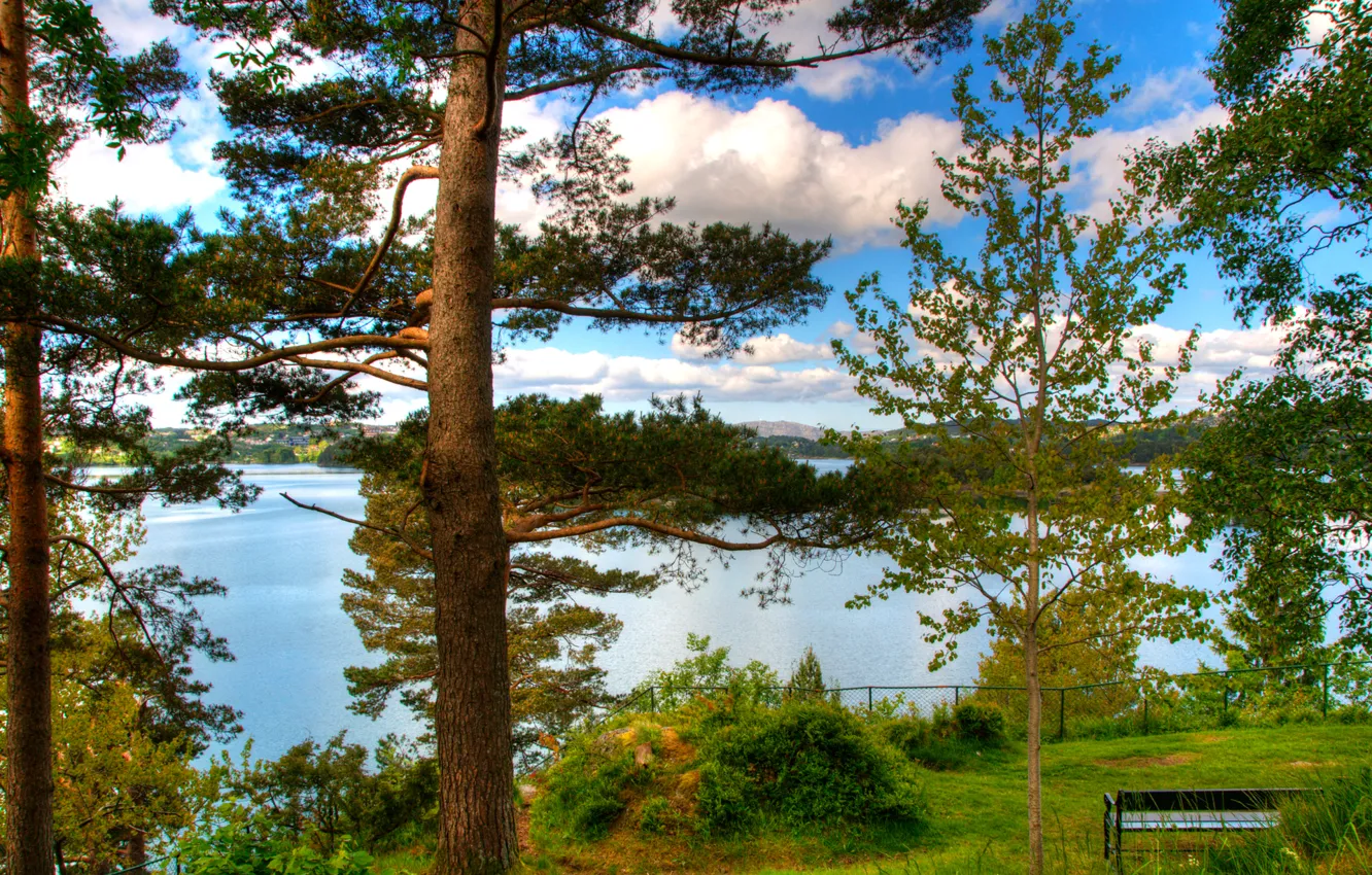 Фото обои море, лес, деревья, парк, скамья, норвегия, norway