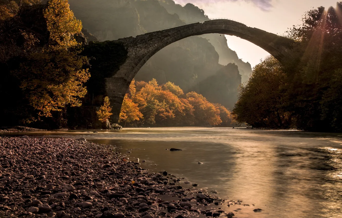 Фото обои осень, лес, мост, река