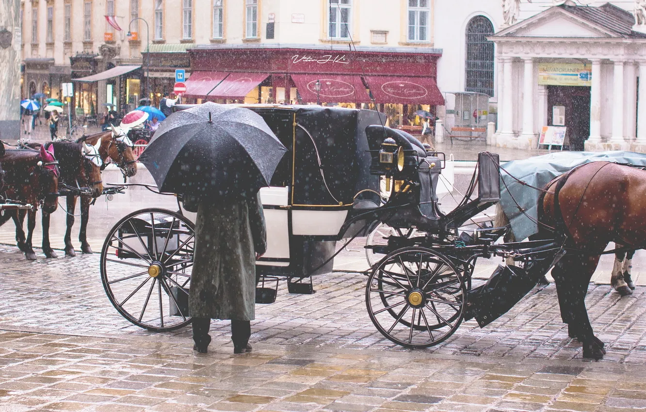 Фото обои снег, город, зонтик, люди, кони, водитель, такси, перевозка