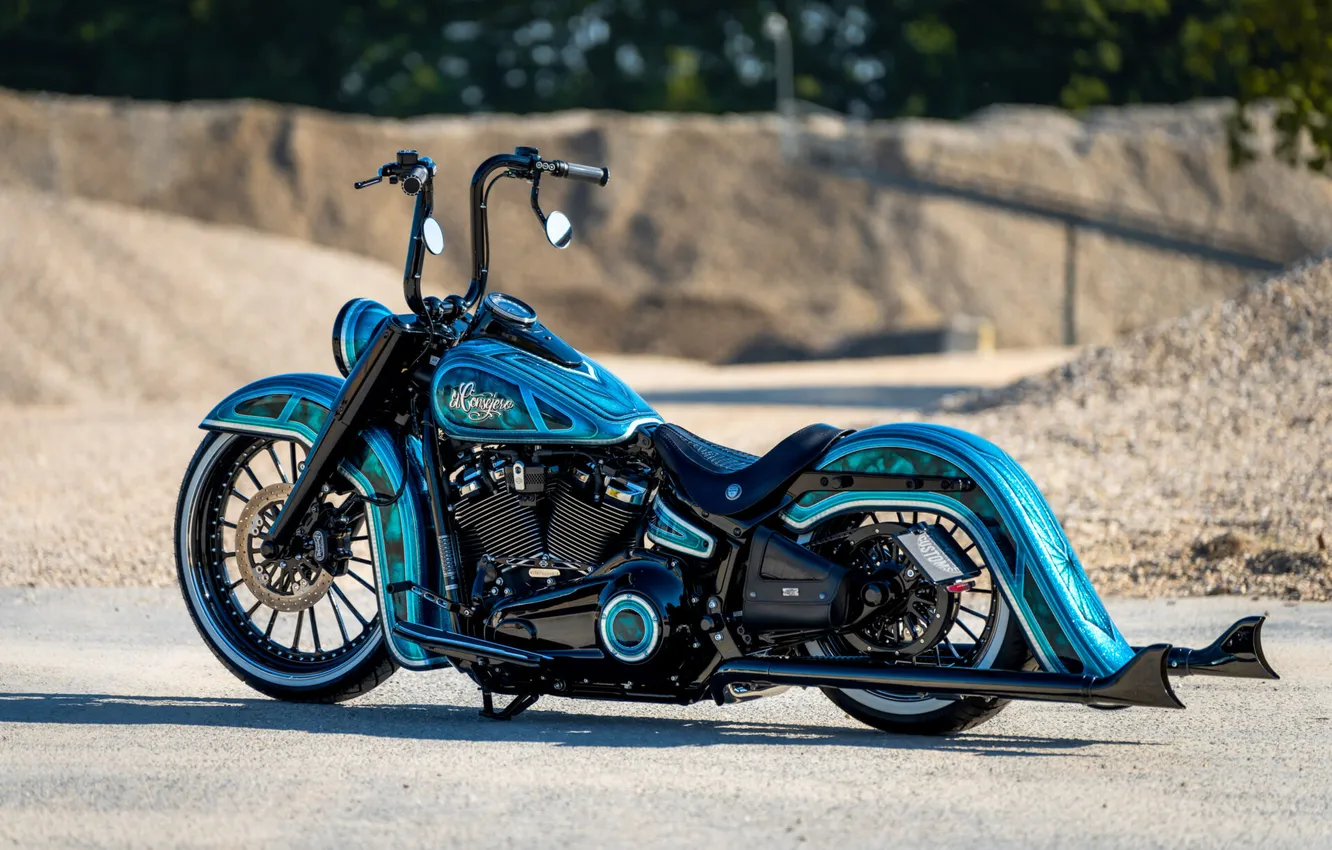 Фото обои Harley-Davidson, Tuning, Softail, Rear, Heritage, Customized, Thunderbike, Custombikes