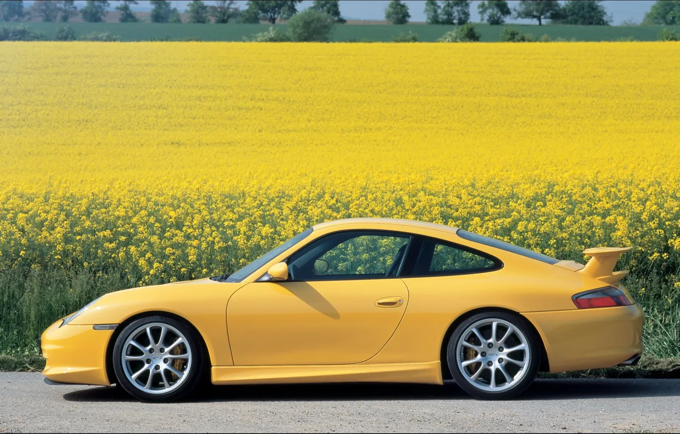 Фото обои цветы, желтый, 911, Porsche, порше, GT3