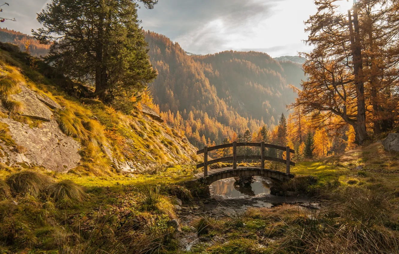 Фото обои осень, лес, горы, природа, мостик