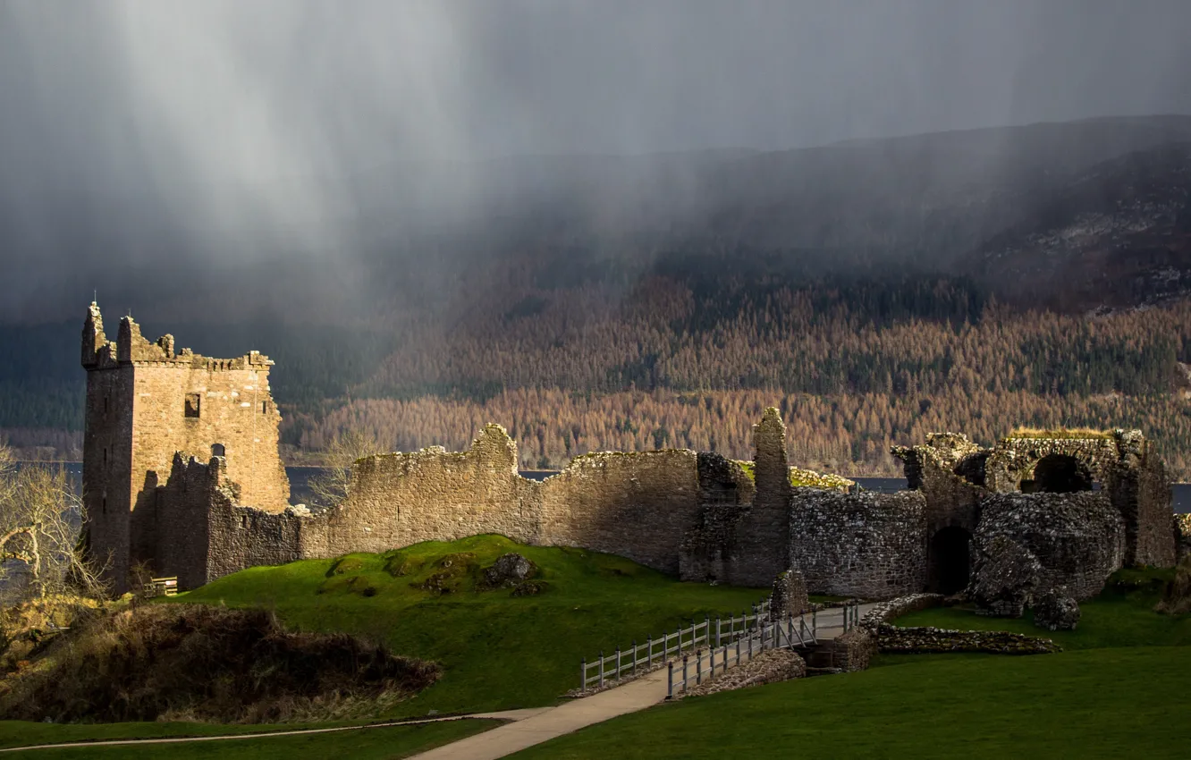 Фото обои лес, горы, озеро, дождь, пасмурно, Шотландия, руины, замок Аркарт