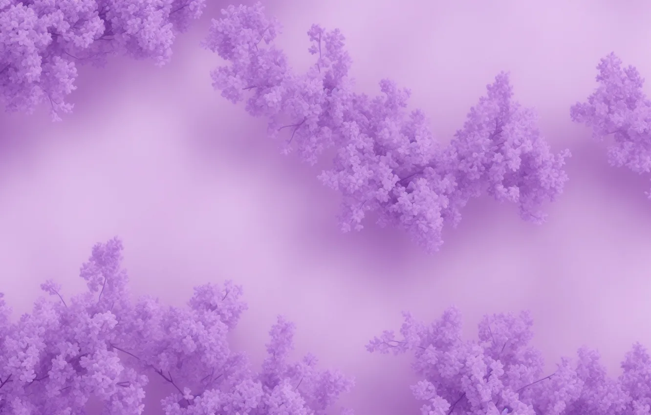 Фото обои цветок, фиолетовый, цветы, фон, сиреневый, обои, wallpaper, flower