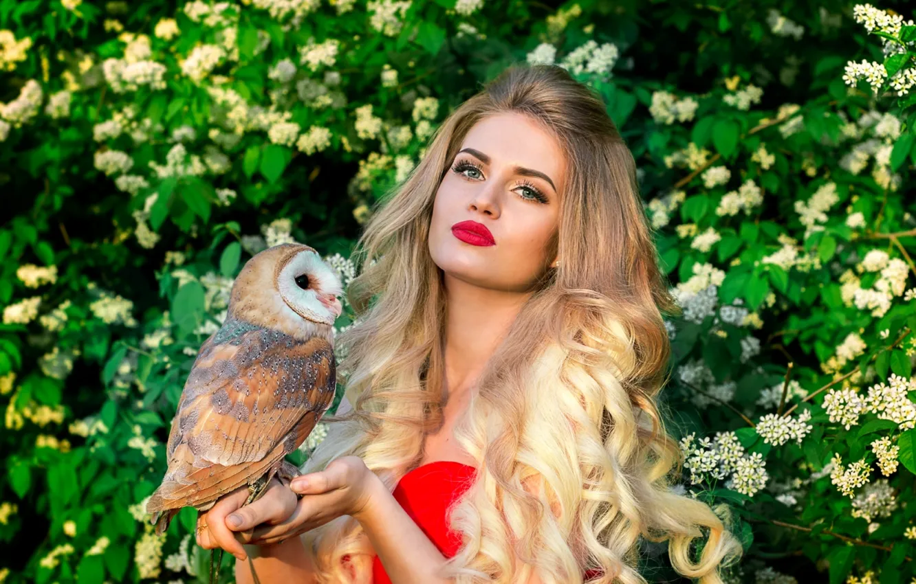 Фото обои сова, птица, макияж, блондинка