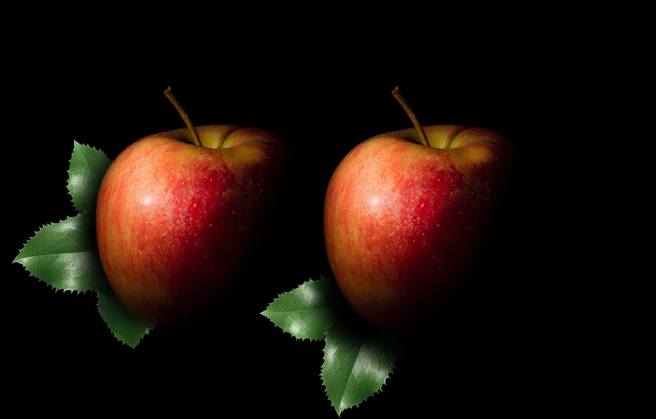 Фото обои apple, fruit, silhouette