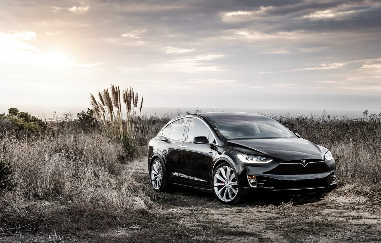 Фото обои концепт, Black, Tesla, Model X, тесла, электрокар