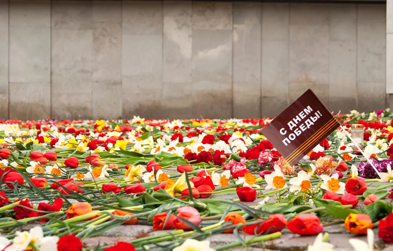 Фото обои цветы, память, праздник, 9 мая, День победы, вечная