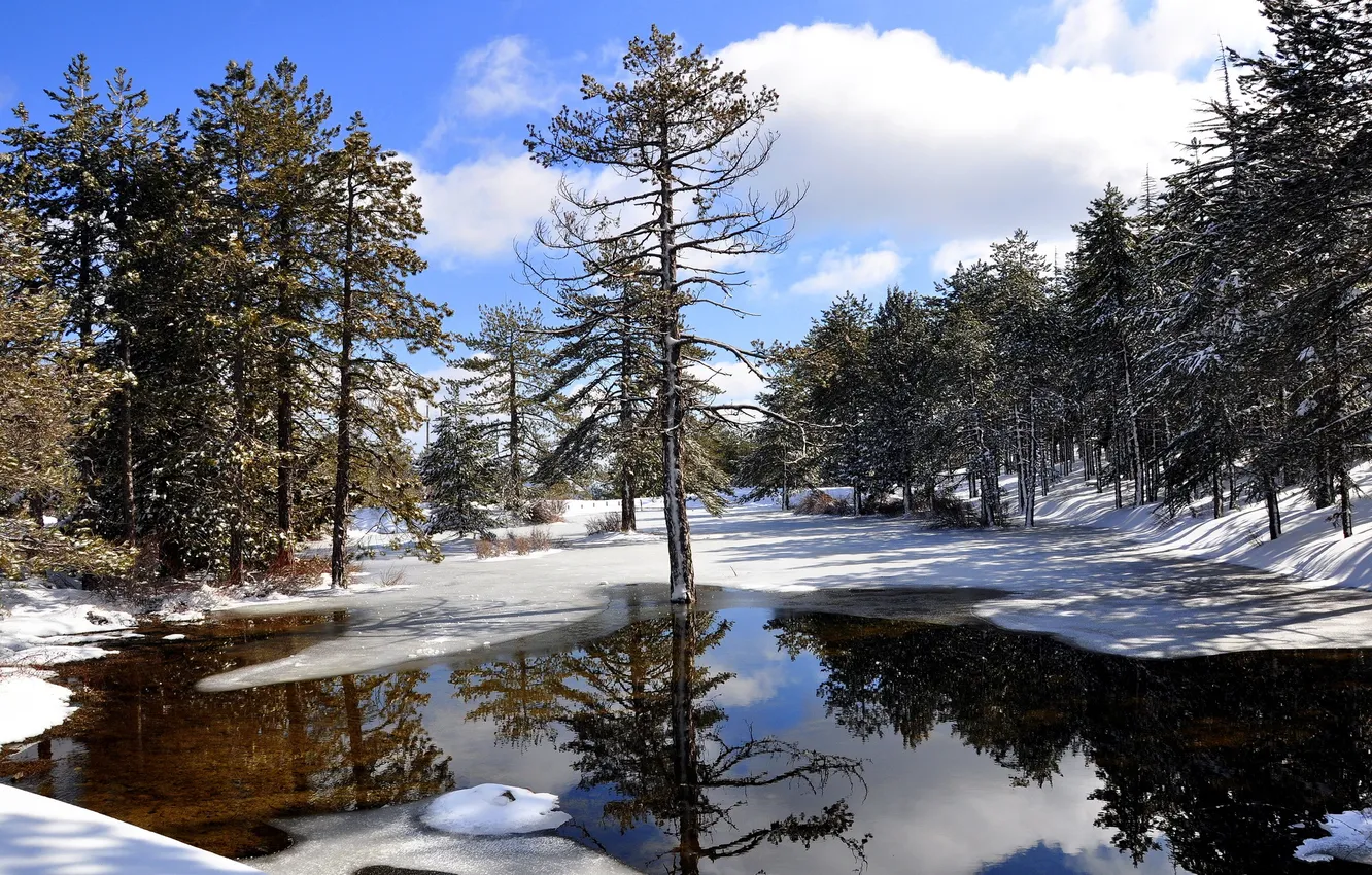 Фото обои зима, вода, солнце, снег, деревья, отражение, Кипр, Троодос