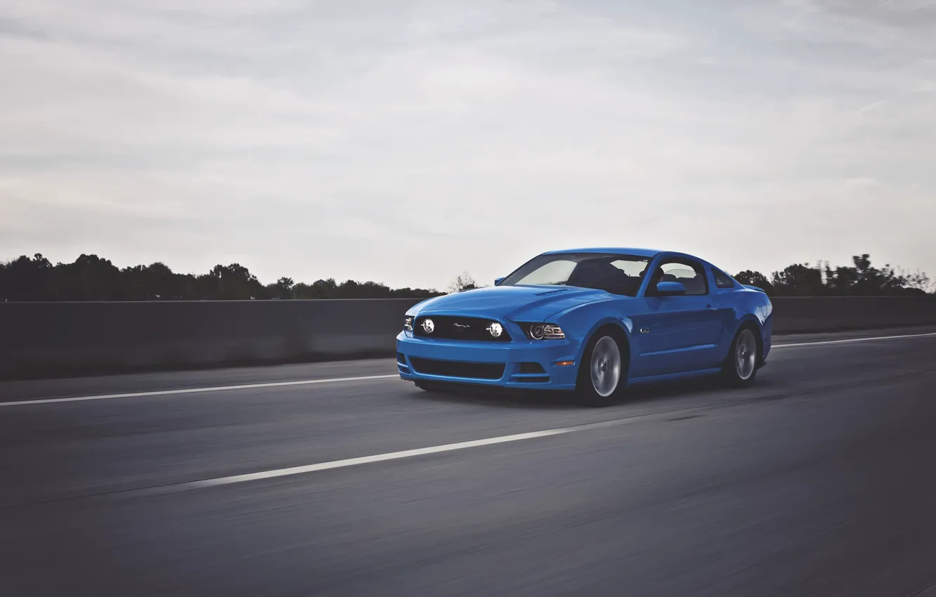 Фото обои Mustang, Ford, Дорога, Скорость, Зад, Форд, Muscle, Мустанг