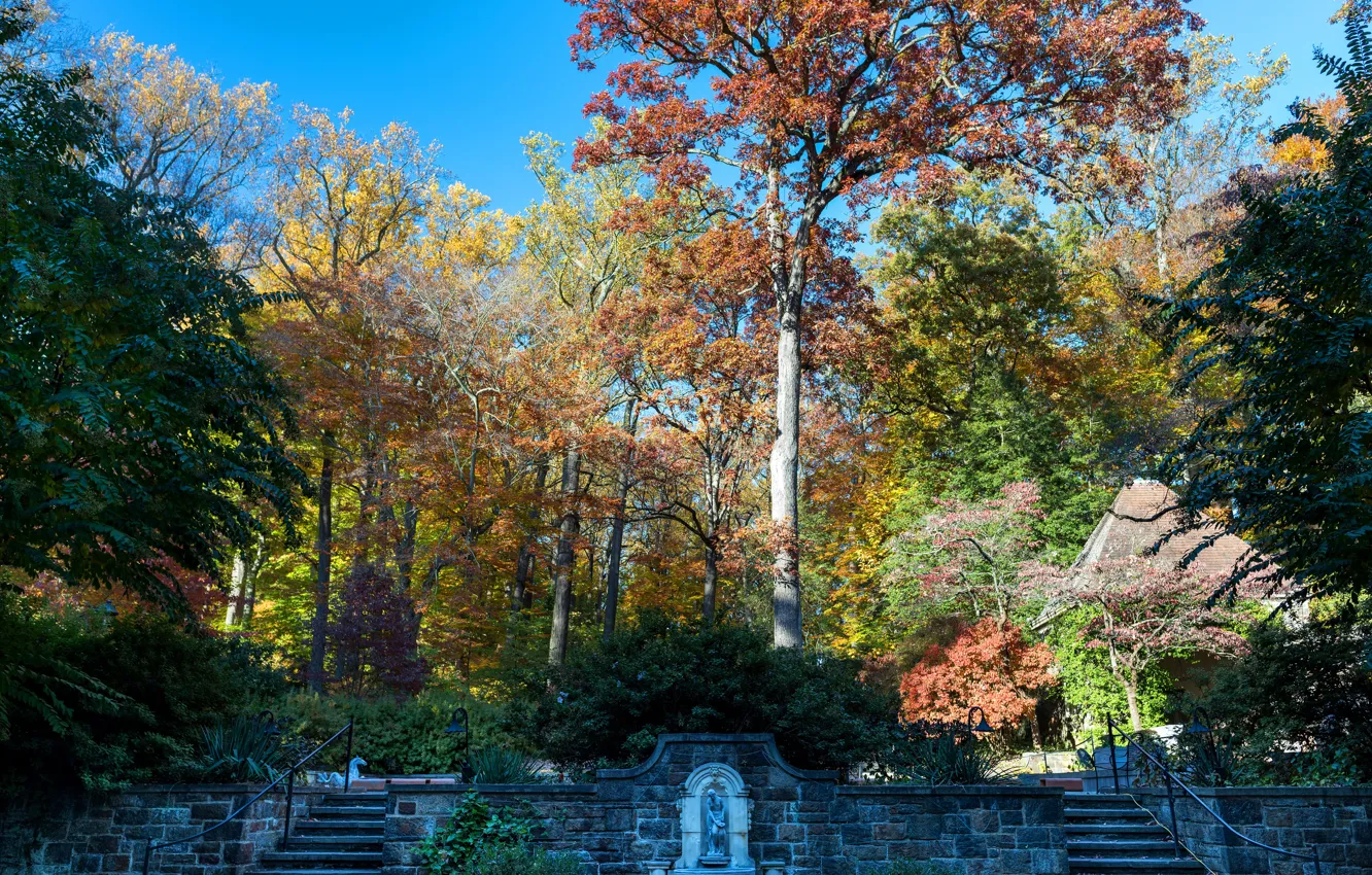 Фото обои осень, солнце, деревья, парк, лестницы, США, кусты, Nemours Mansion and Gardens