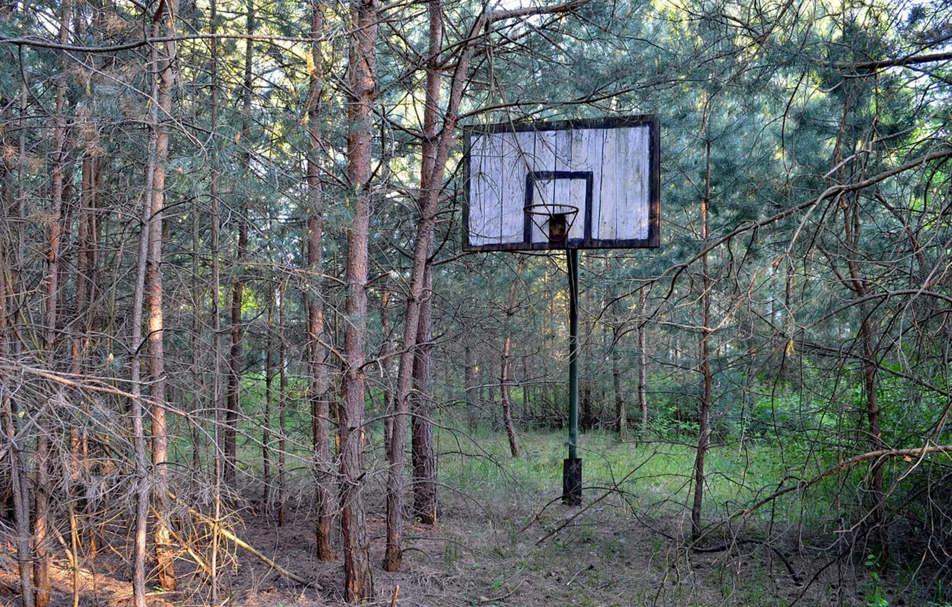Фото обои спорт, Баскетбол, щит