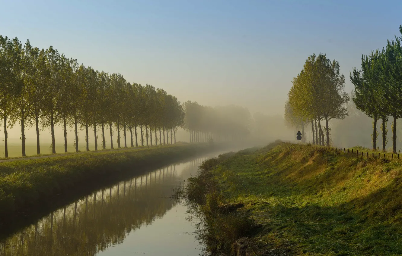 Фото обои деревья, туман, остров, канал, Нидерланды, Гуре-Оверфлакке