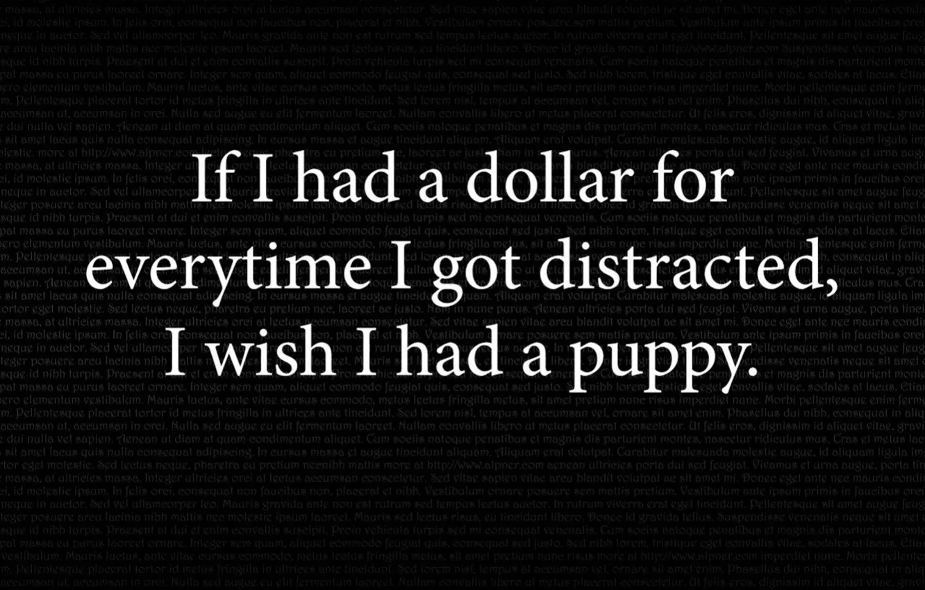 Фото обои life, words, fun, quote, wisdom