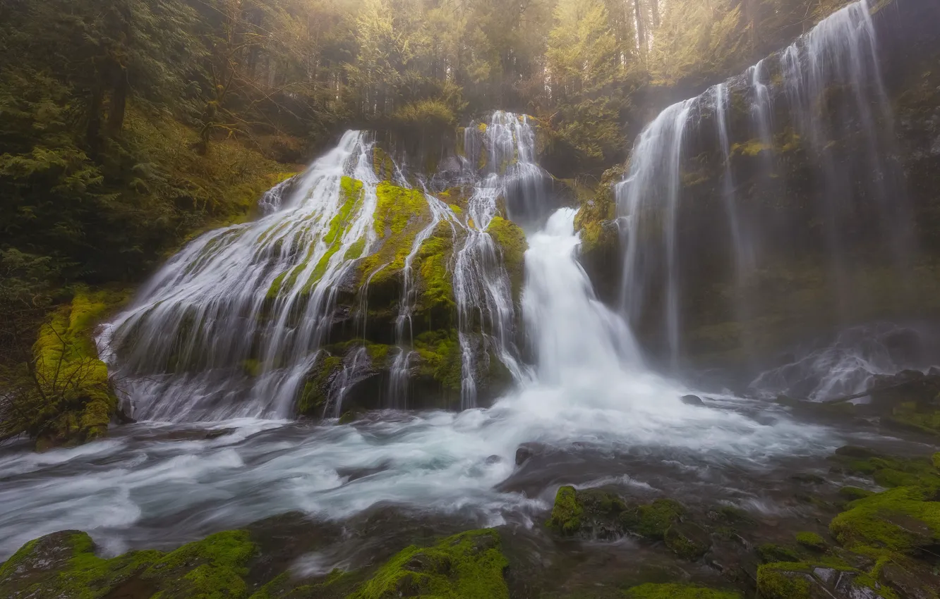 Фото обои лес, водопад, каскад, Washington, штат Вашингтон, Columbia River Gorge, Panther Creek Falls, Gifford Pinchot National …