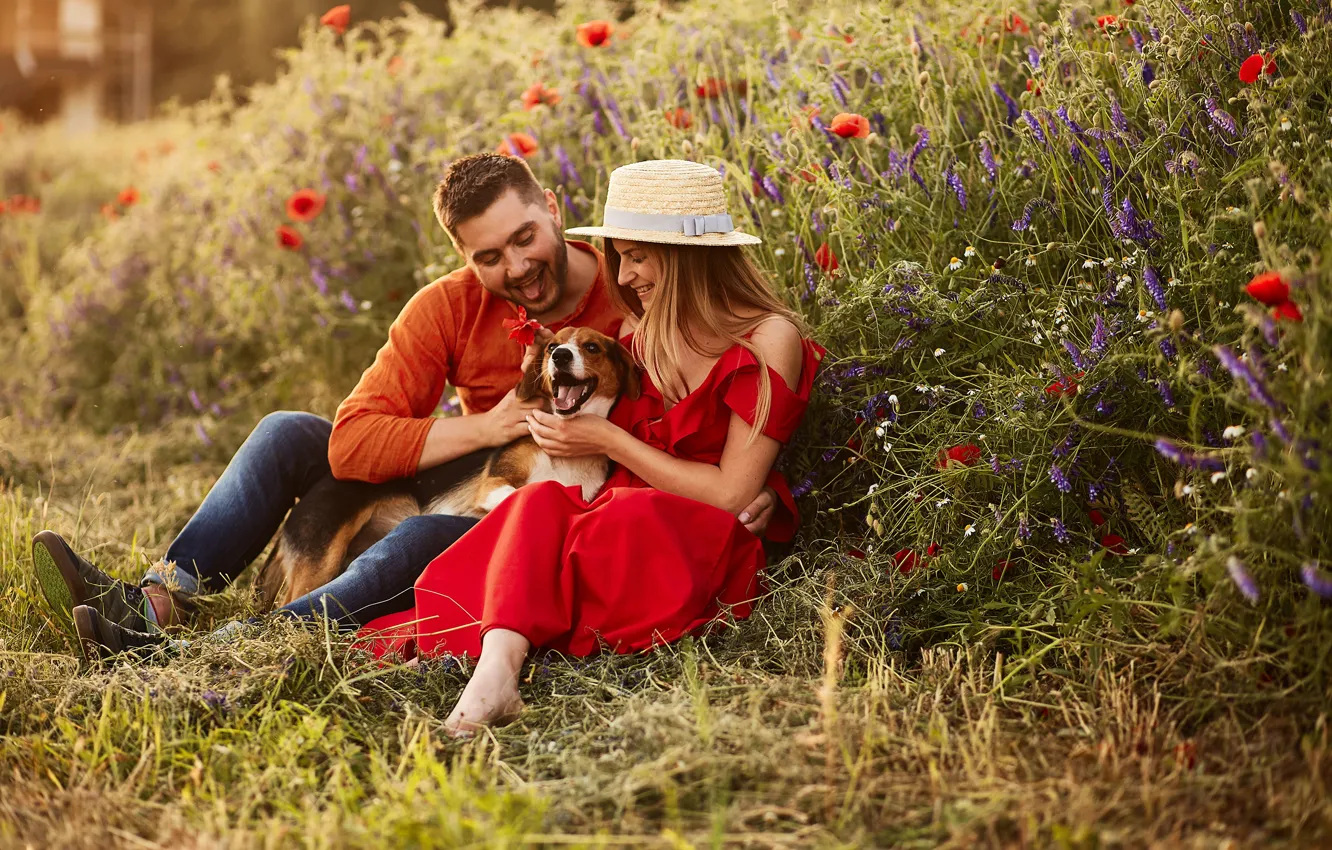 Фото обои девушка, радость, цветы, настроение, собака, шляпа, платье, парень