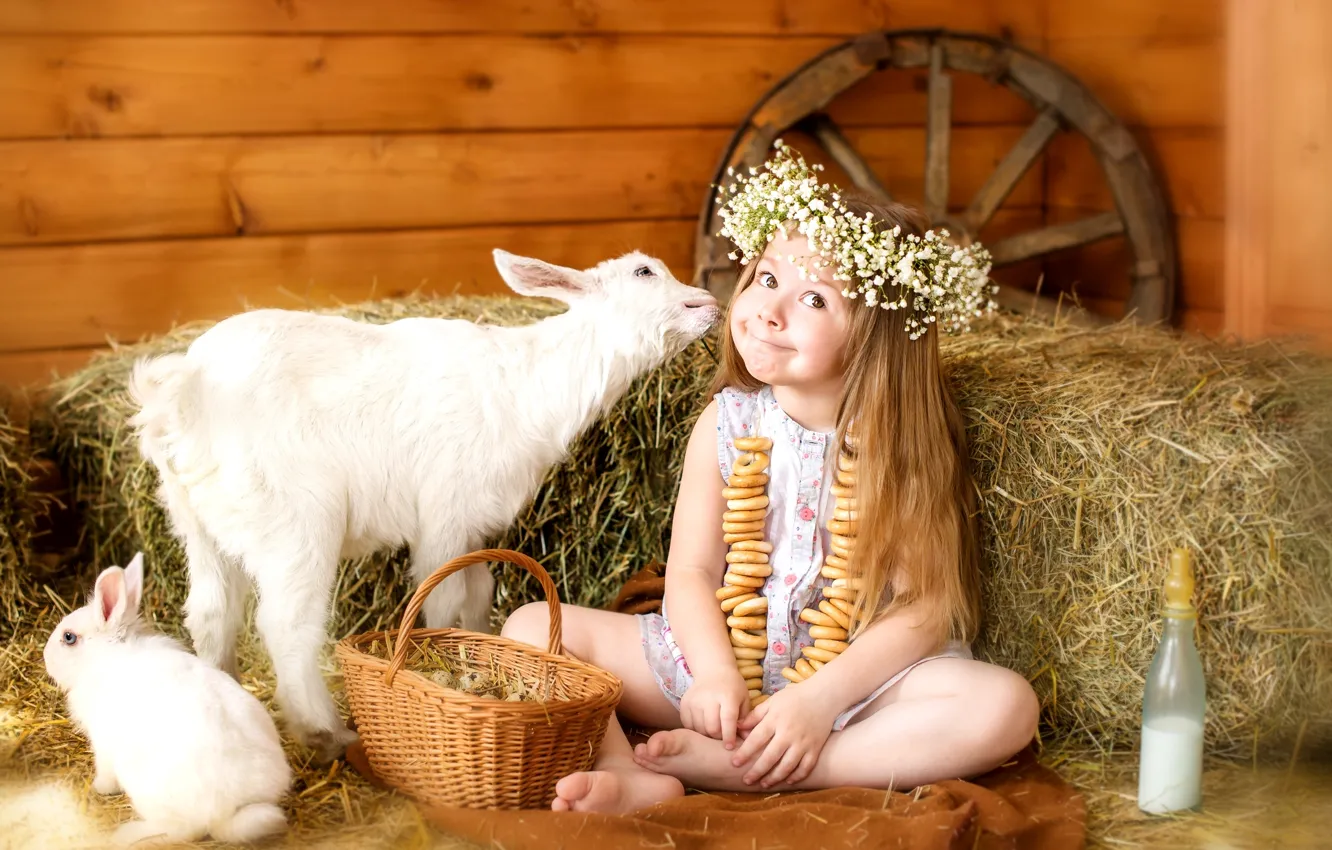 Фото обои животные, счастье, детство, корзина, яйца, колесо, кролик, молоко