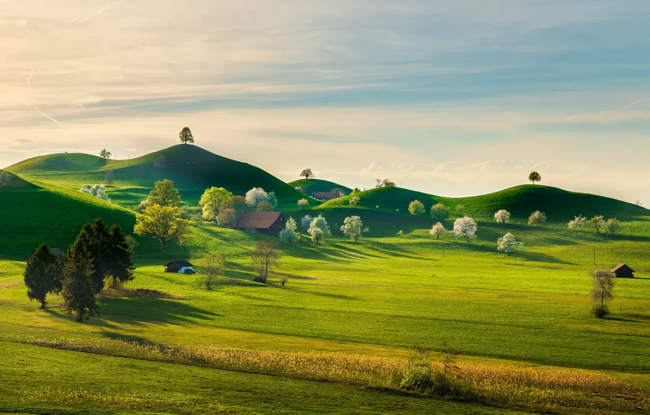 Фото обои зелень, небо, трава, солнце, облака, деревья, природа, холмы