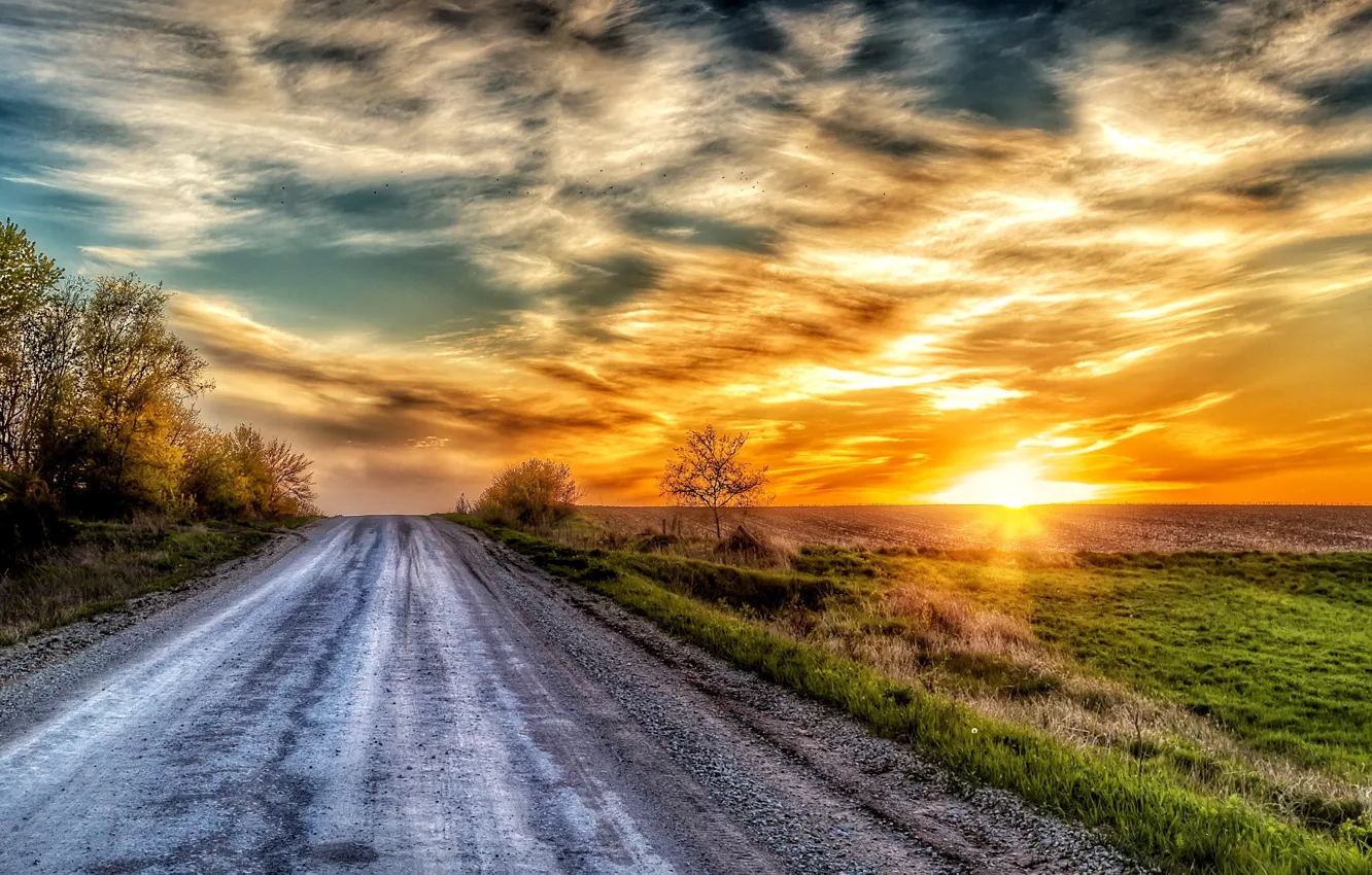 Фото обои дорога, закат, природа