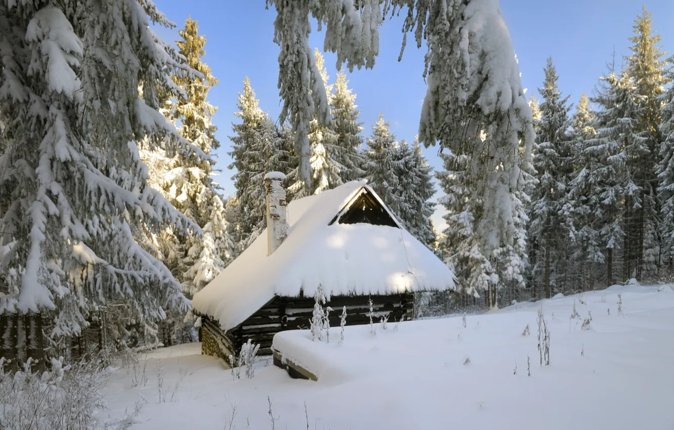 Фото обои зима, лес, снег, деревья, дом