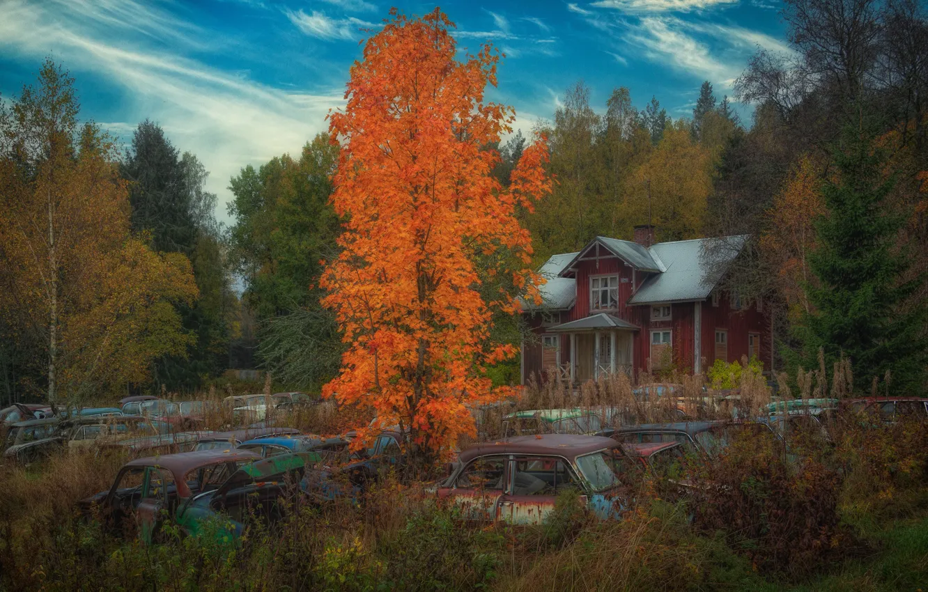 Фото обои осень, лес, небо, деревья, машины, дом, синева, дерево