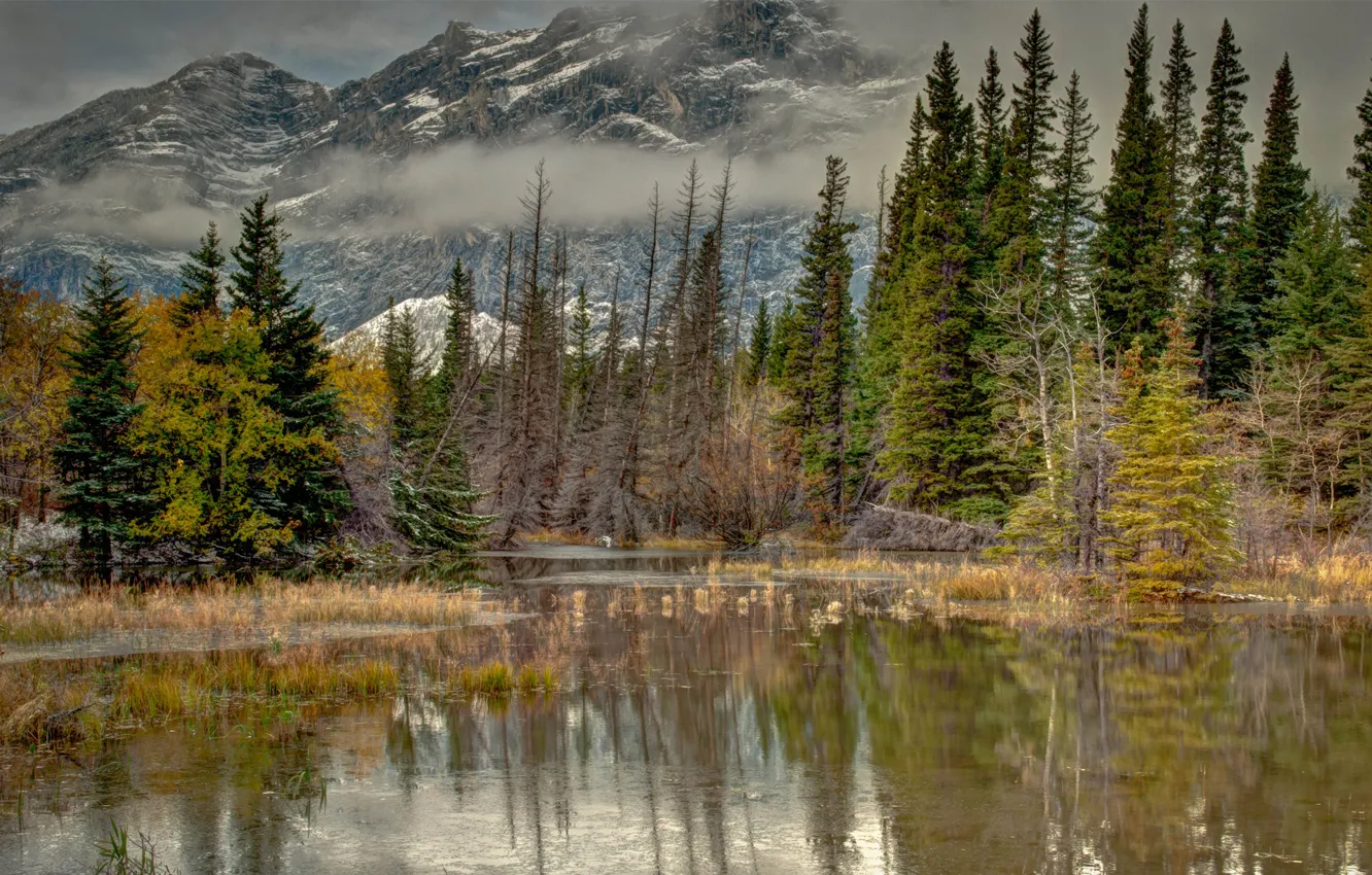 Фото обои осень, вода, деревья, горы, природа, туман, озеро, пруд