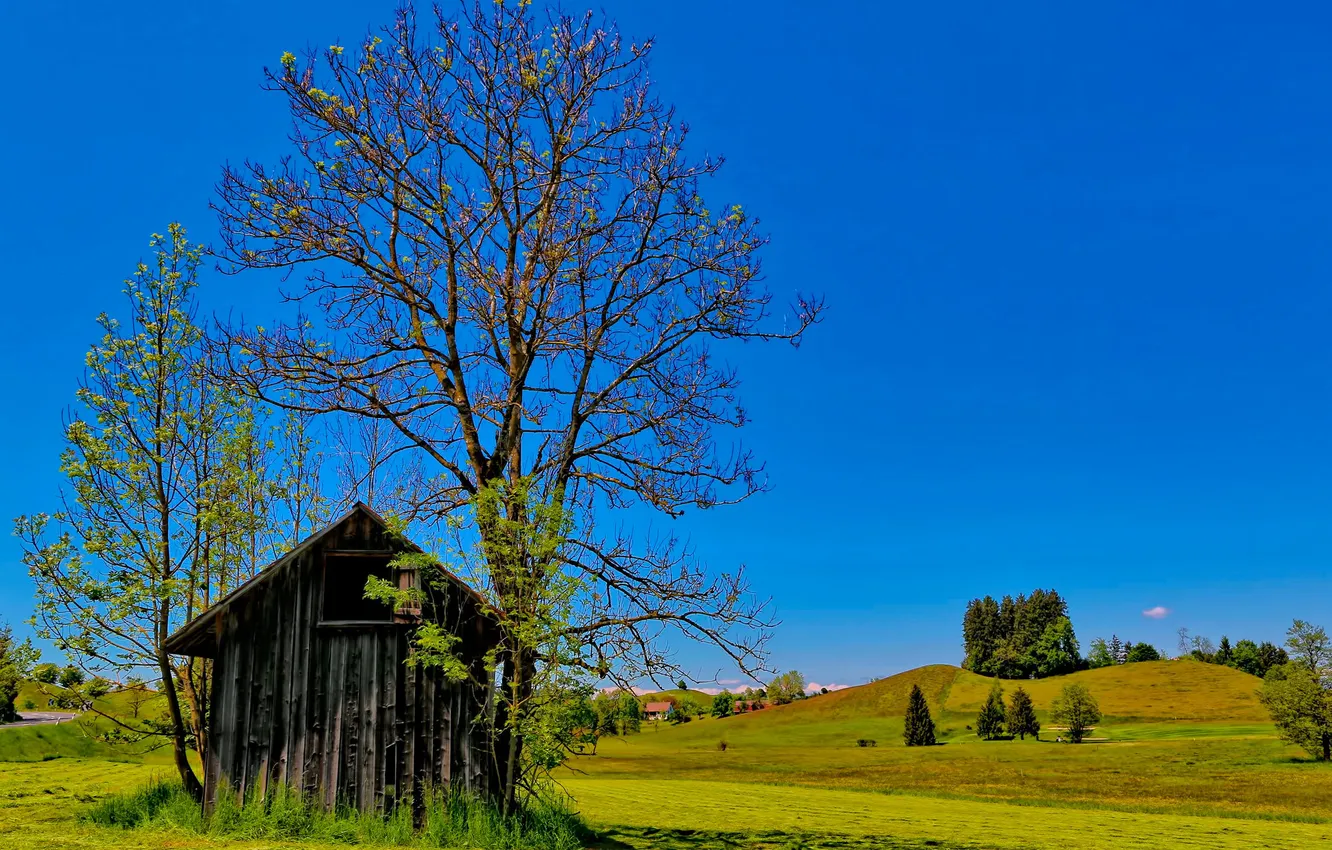 Фото обои небо, трава, деревья, дом, холмы