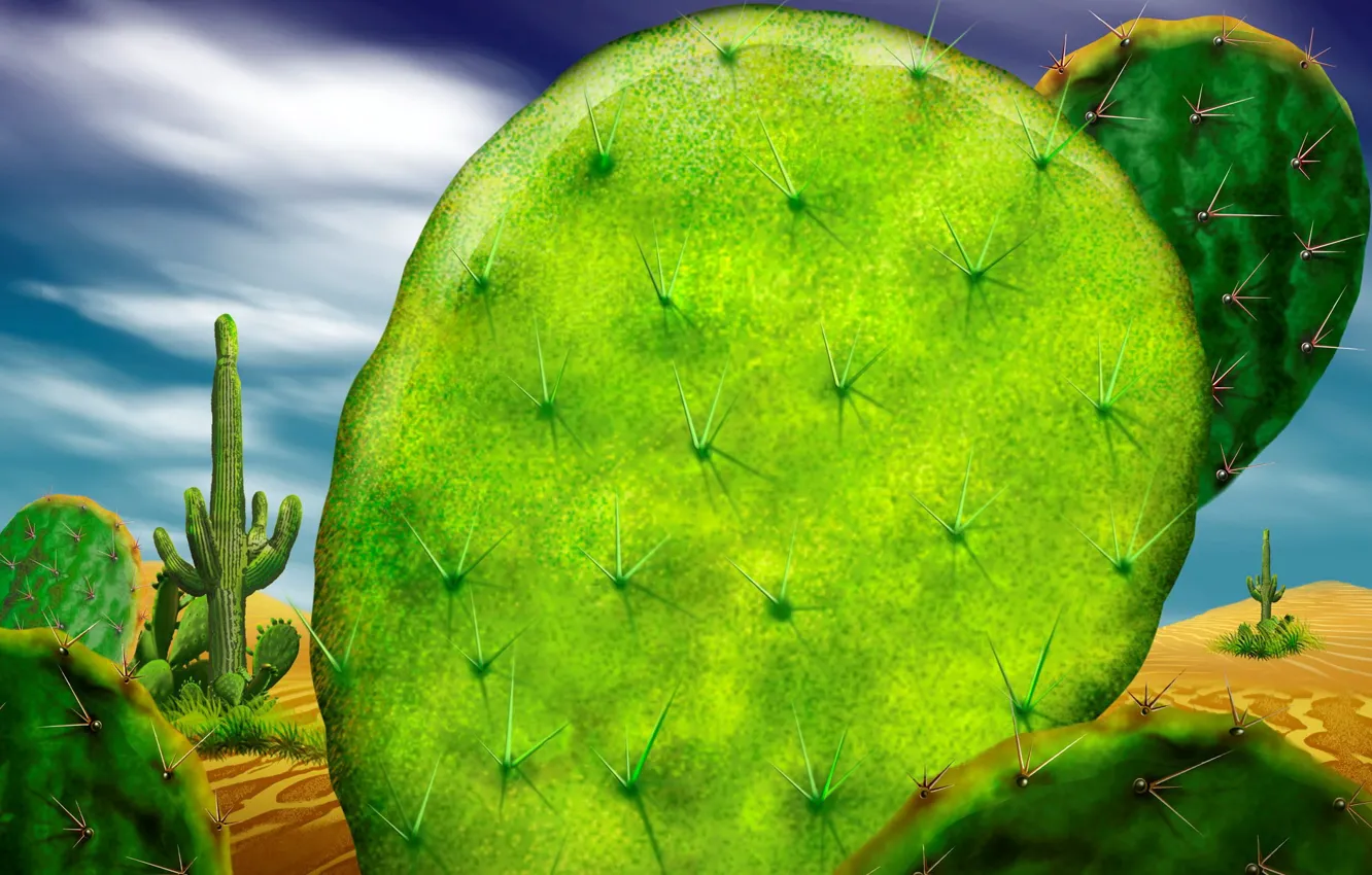 Фото обои зеленый, пустыня, кактус