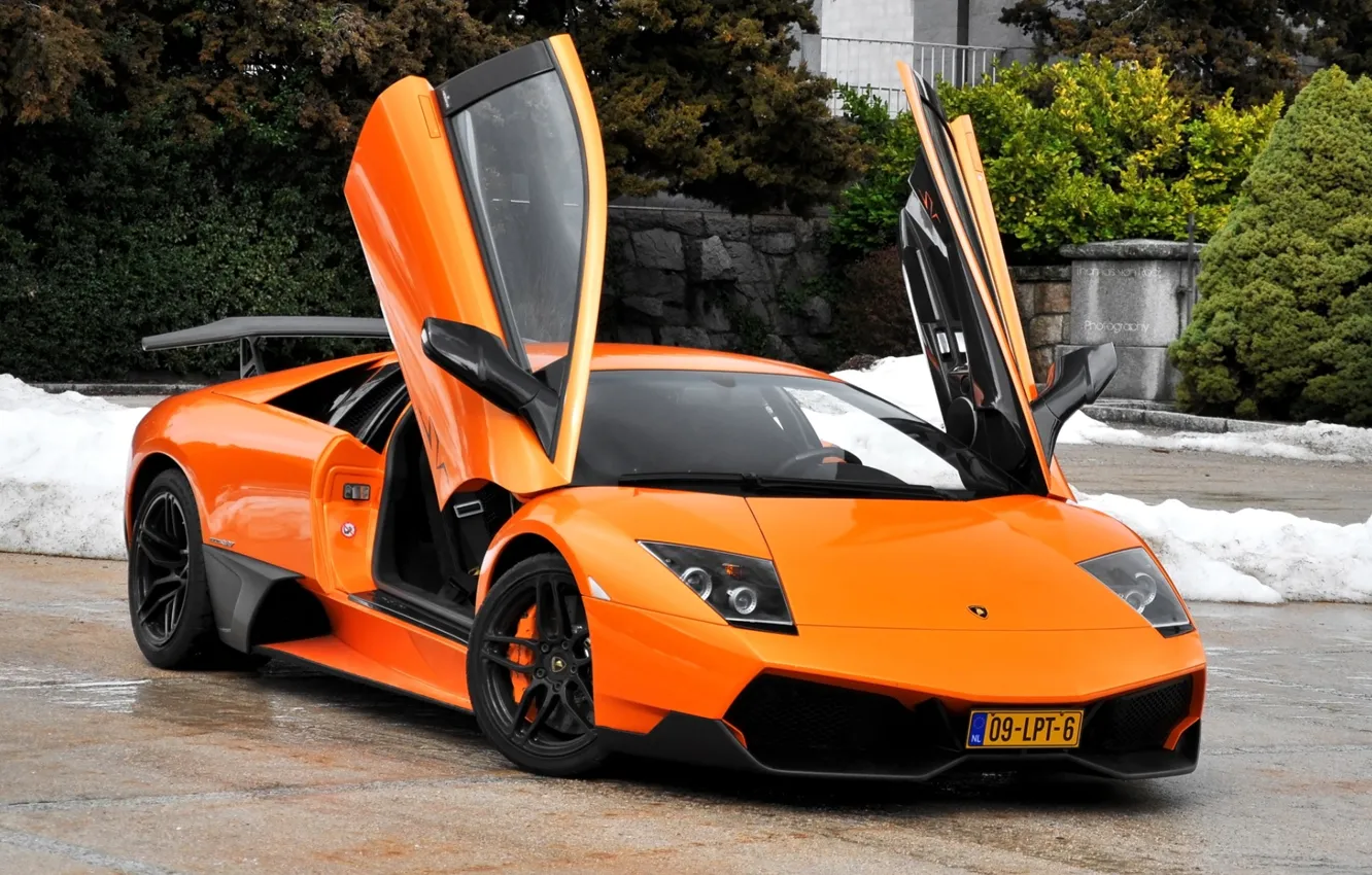 Фото обои оранжевый, фон, Lamborghini, двери, суперкар, кусты, Murcielago, передок