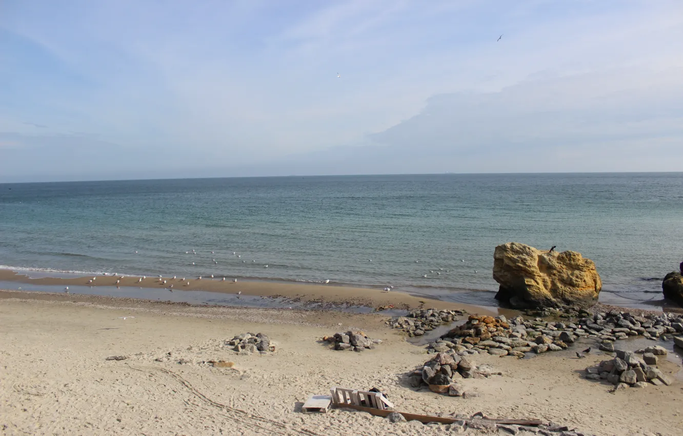 Фото обои пляж, камни, Море, чайка, декор