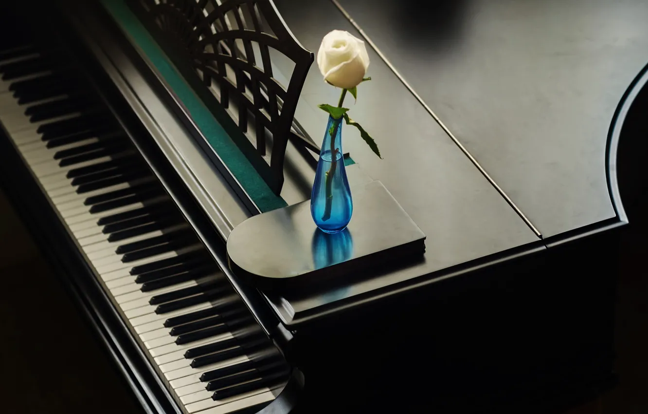 Фото обои цветок, музыка, пианино