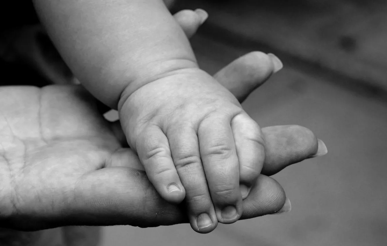 Фото обои ребенок, черно-белая, руки, семья