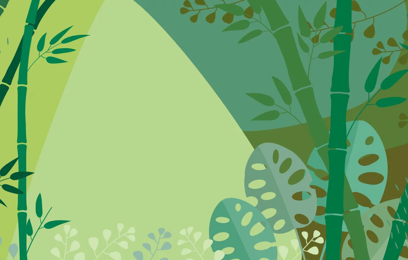 Фото обои Листья, Тропики, Бамбук, Фон, Bamboo, Background, Leaves, Tropics