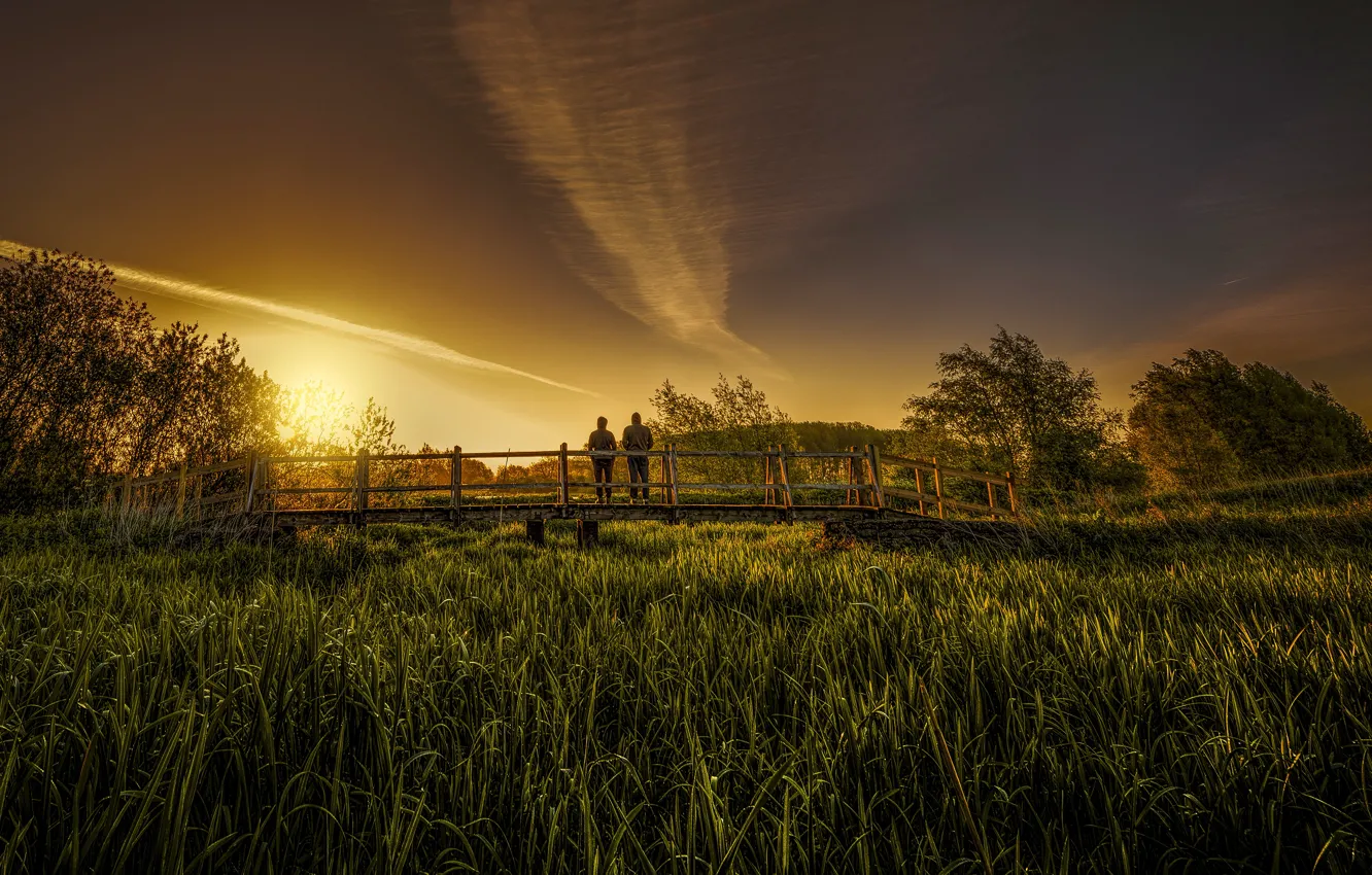 Фото обои трава, девушка, закат, мост, природа, вечер, пара, парень