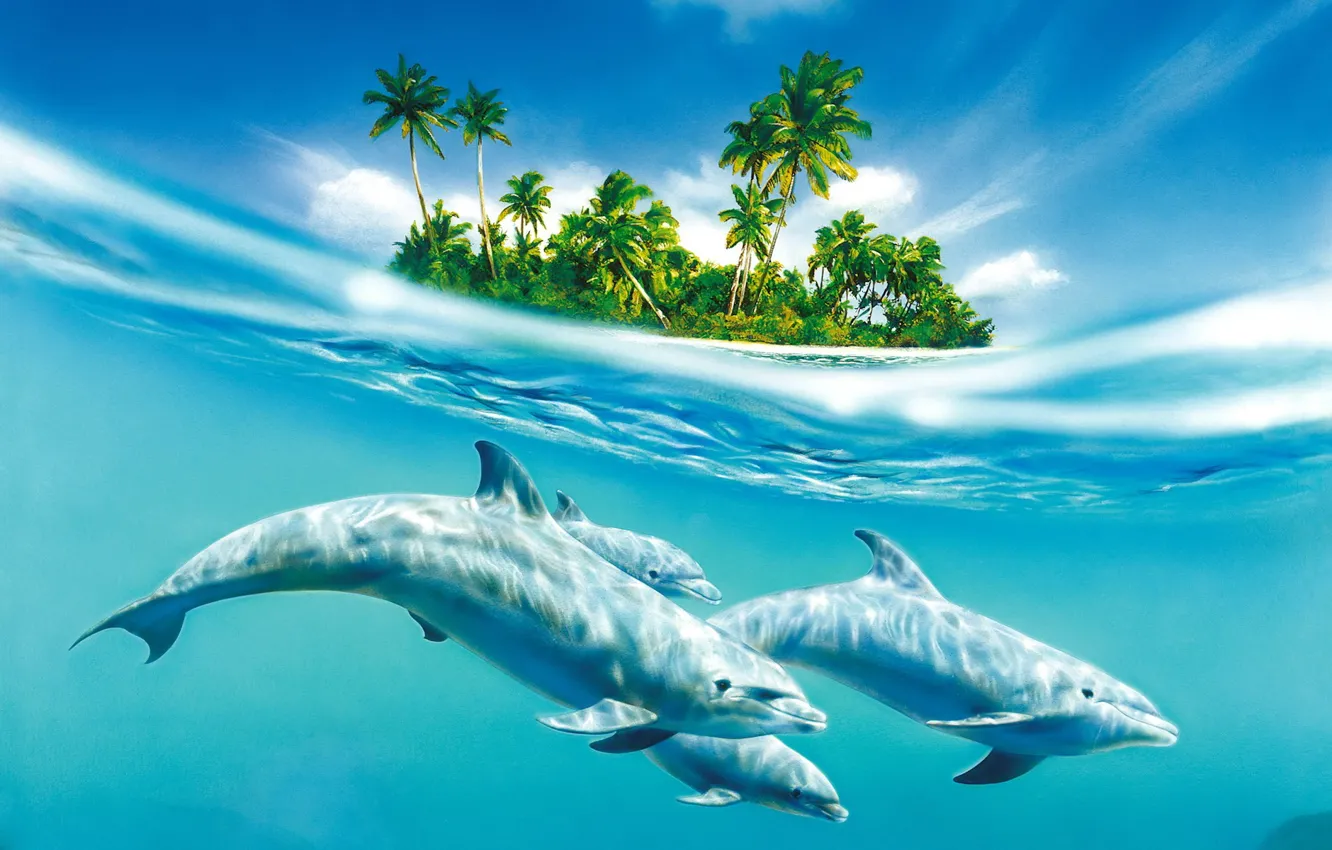 Фото обои вода, остров, 155, дельфины