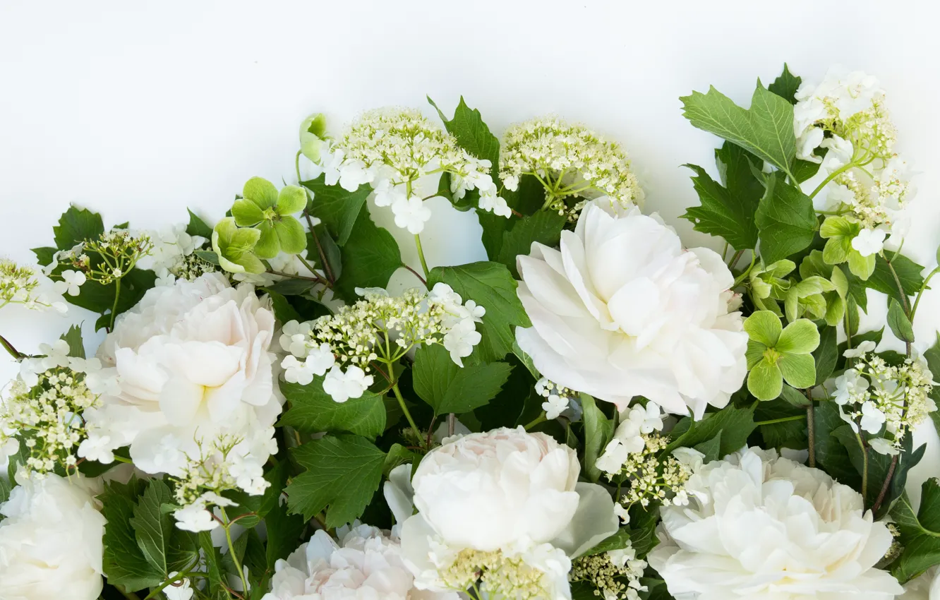 Фото обои цветы, фон, букет, рамка, flowers, bundle