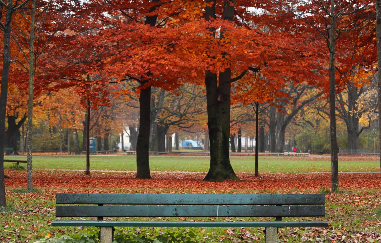 Фото обои осень, листья, деревья, скамейка, парк, colorful, nature, park