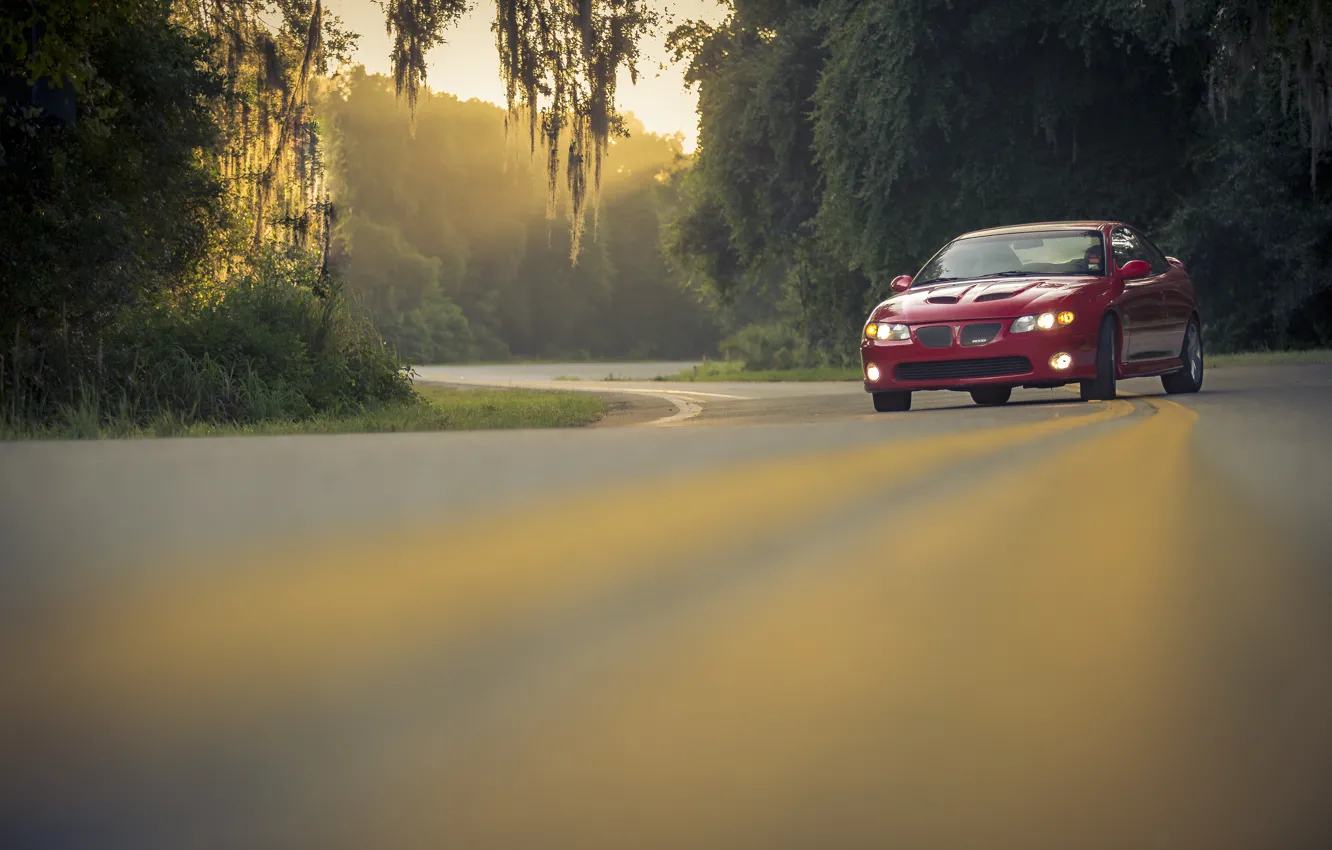 Фото обои Red, Pontiac, GTO, Road, Trees