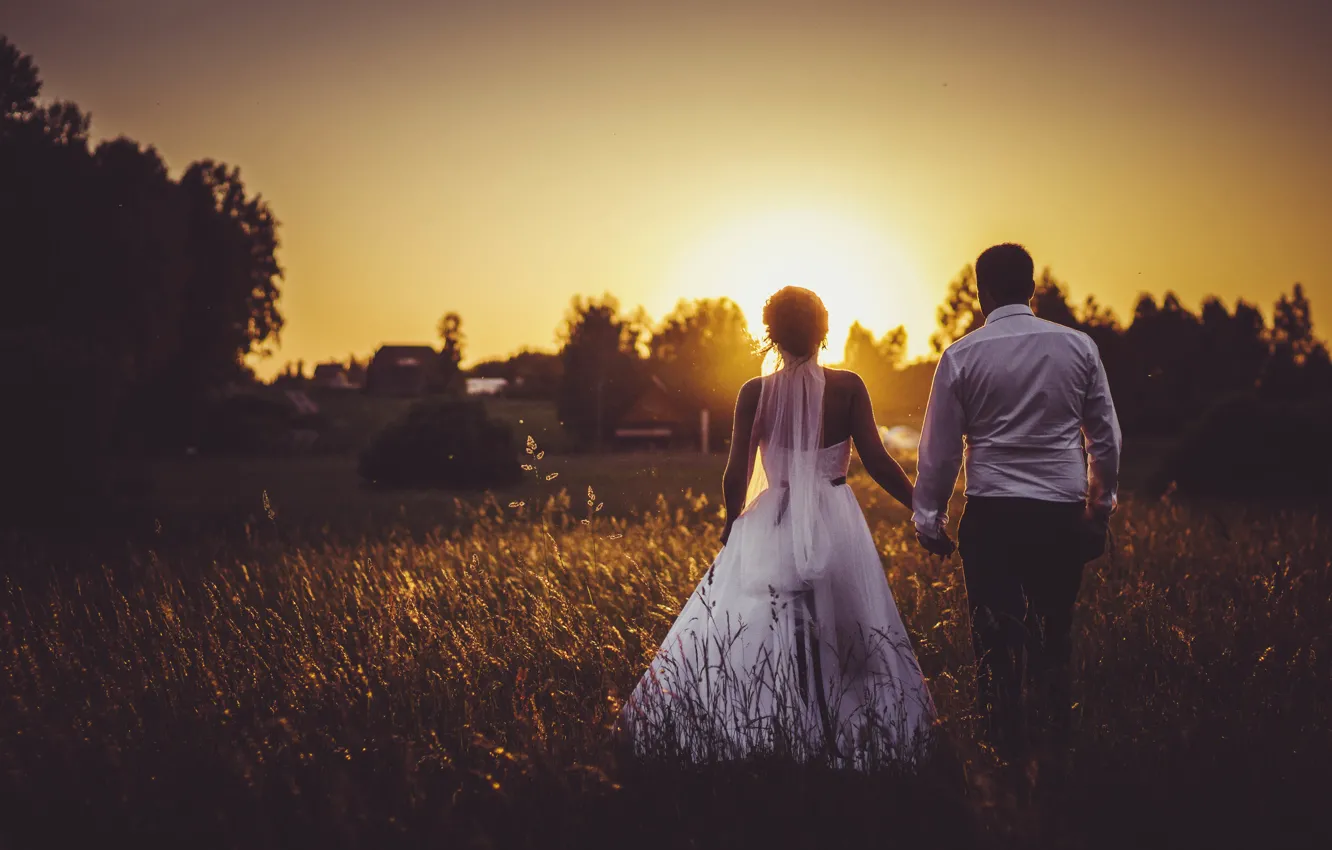 Фото обои поле, закат, свадьба